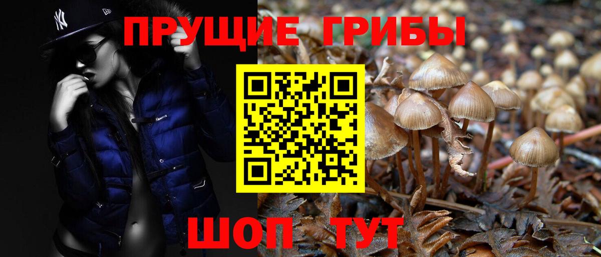 Галлюциногенные грибы Cubensis Новочебоксарск